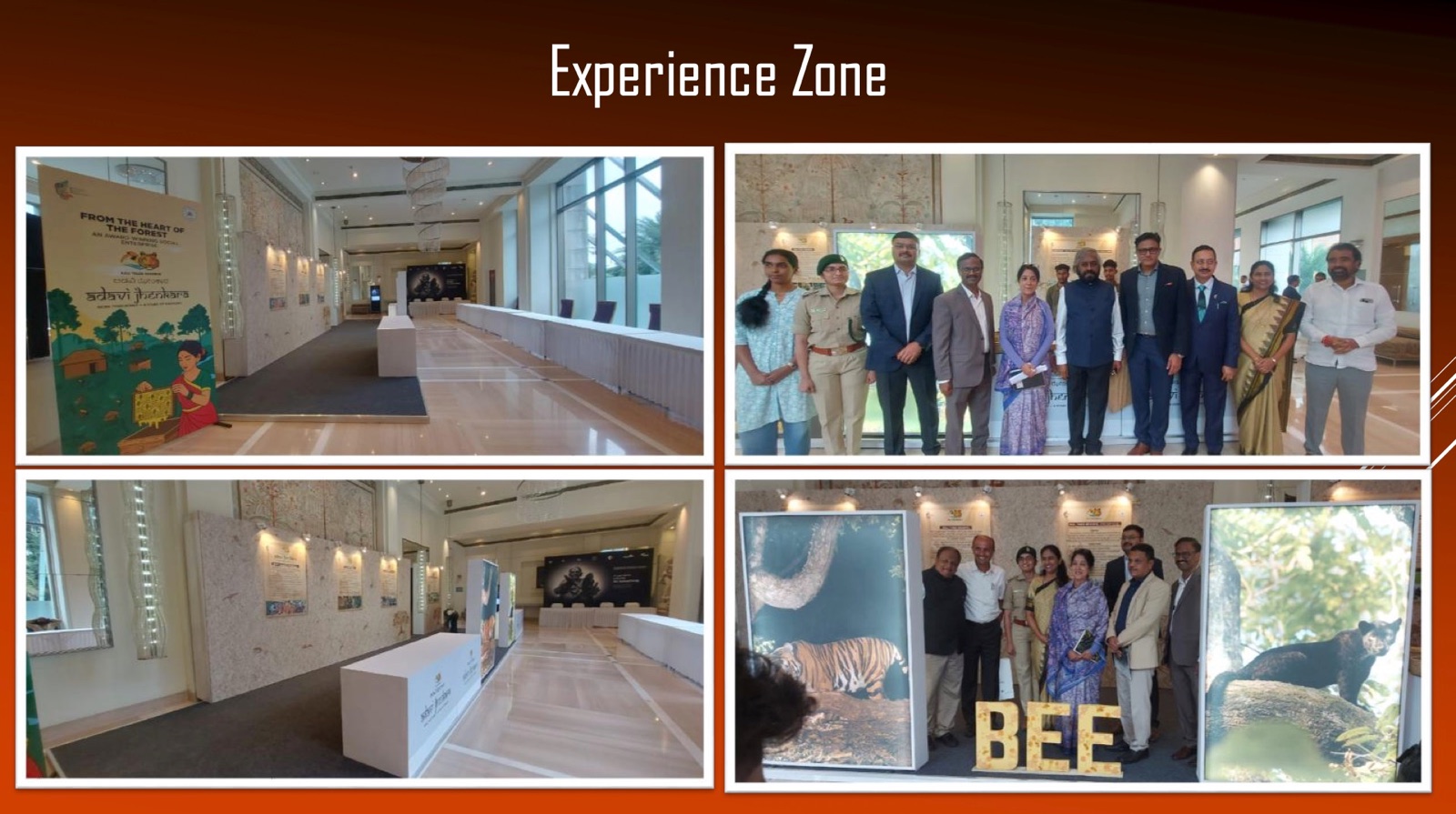Experience Zones